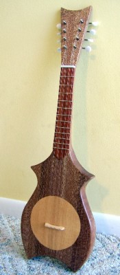 The finished instrument with 1/8&quot; spruce soundboard and 1/8&quot; hardwood fingerboard added.