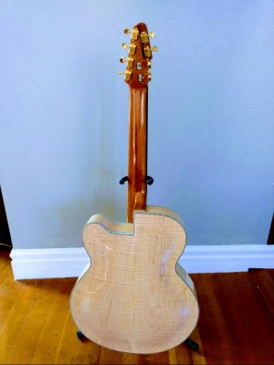 archtop8-back_750x1000.jpg