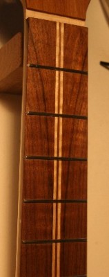 Fingerboard no strings