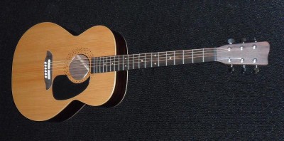 whole guitar.jpg