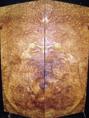 amboyna burl.jpg