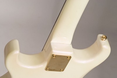 Neck joint with gold attachment plate.