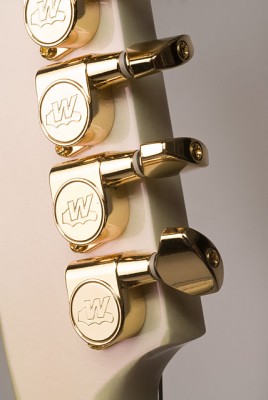 Close-up of the tuners.