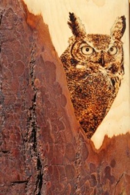 Owl pyrography on a piece of red pine.