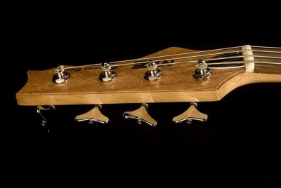 11-Generatrix-Kitchen-Bass--headstock-front-side.jpg