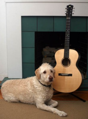 Guitar 2 with Ripley 1 cropped sm.jpg