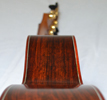 Cocobolo guitar