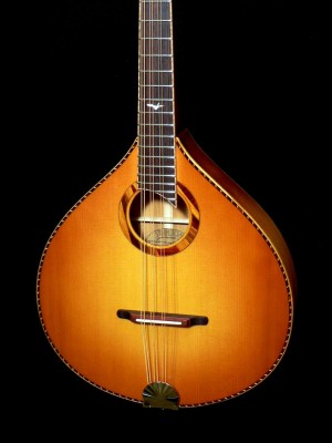 This is the Octave Mandolin...