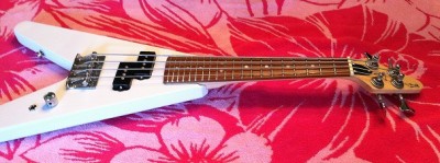 tenor bass.jpg