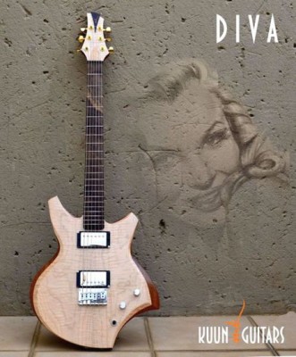 # DIVA1copy.JPG