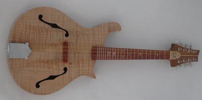 Mandolin 1 - Reduced.JPG