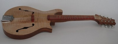 Mandolin 2 - Reduced.JPG