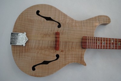 Mandolin 4 - Reduced.JPG