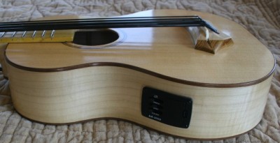 Small side view with pre amp.JPG