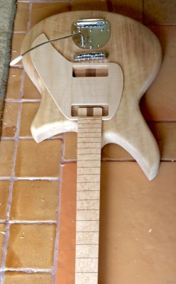lucia with pickguard.jpg