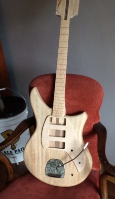 lucia 3 pickups.jpg