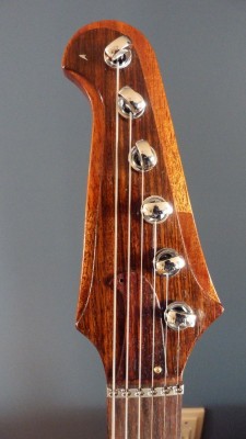 Head_front.JPG