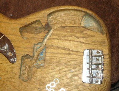 bass with empty spaces.jpg